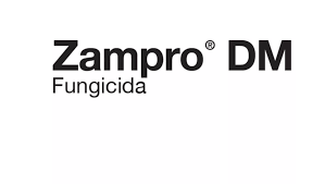 BASF ZAMPRO 1LT